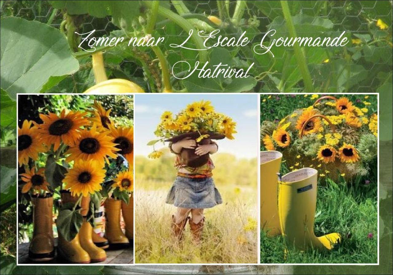 L'Escale Gourmande Villa Hatrival Buitenkant foto