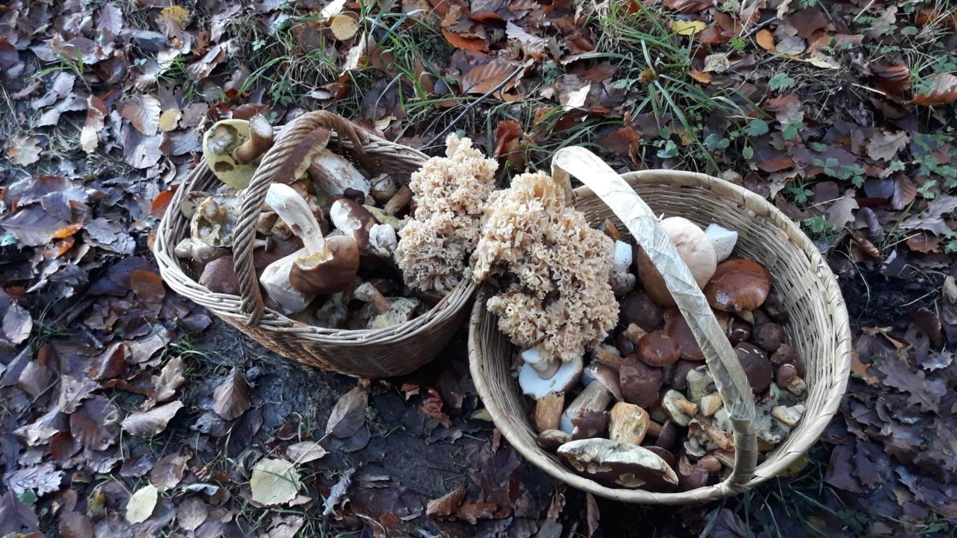 L'Escale Gourmande Villa Hatrival Buitenkant foto